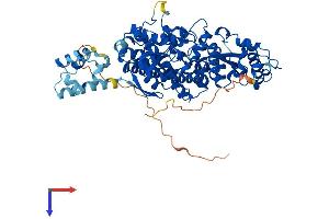 AlphaFold protein structure predicition of Human Recombinant SAMHD1 Protein, UniprotID Q9Y3Z3