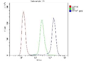 Flow Cytometry analysis of K562 cells using anti-D2AP antibody (ABIN6719544). (CD2AP anticorps  (AA 253-337))