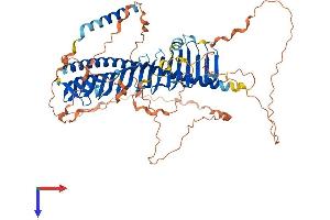 AlphaFold protein structure predicition of Human Recombinant JPH4 Protein, UniprotID Q96JJ6
