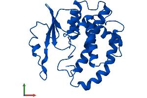 AlphaFold protein structure predicition of Mouse Recombinant Gstm7 Protein, UniprotID Q80W21