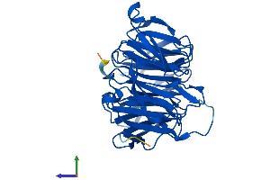 AlphaFold protein structure predicition of Human Recombinant BUB3 Protein, UniprotID O43684