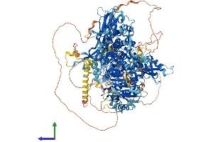 AlphaFold protein structure predicition of Human Recombinant PIK3C2B Protein, UniprotID O00750
