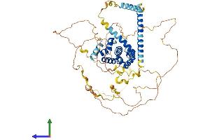 AlphaFold protein structure predicition of Human Recombinant EPN1 Protein, UniprotID Q9Y6I3