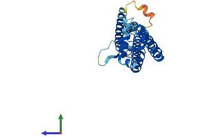 AlphaFold protein structure predicition of Mouse Recombinant Tspan5 Protein, UniprotID P62080