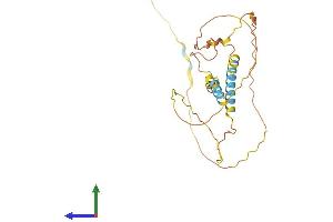 AlphaFold protein structure predicition of Human Recombinant MDFIC Protein, UniprotID Q9P1T7