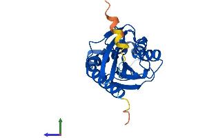 AlphaFold protein structure predicition of Mouse Recombinant Ptrh1 Protein, UniprotID Q8BW00