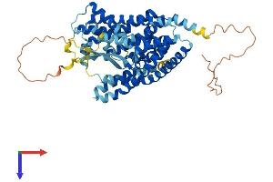 AlphaFold protein structure predicition of Human Recombinant SLC1A1 Protein, UniprotID P43005