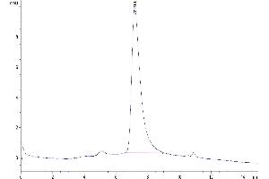 The purity of Biotinylated Human B7-H4 is greater than 95 % as determined by SEC-HPLC.