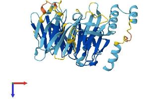 AlphaFold protein structure predicition of Human Recombinant DCAF4L2 Protein, UniprotID Q8NA75
