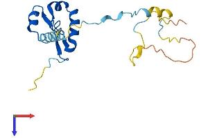 AlphaFold protein structure predicition of Human Recombinant GTSF1 Protein, UniprotID Q8WW33