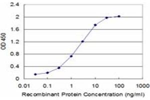 Detection limit for recombinant GST tagged FAS is approximately 0. (FAS anticorps  (AA 20-119))