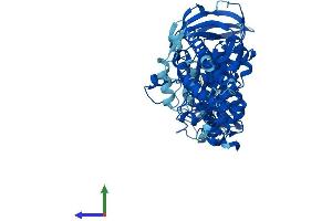 AlphaFold protein structure predicition of Human Recombinant ATP6V1A Protein, UniprotID P38606