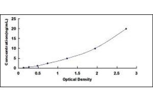Typical standard curve (PSMB6 Kit ELISA)