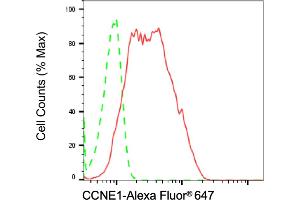 Flow cytometric analysis of CCNE1 expression in HeLa cells using CCNE1 antibody (ABIN7798198), 1:2,000). (Recombinant Cyclin E1 anticorps)