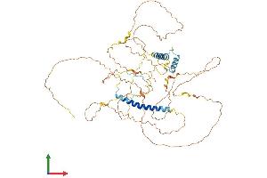 AlphaFold protein structure predicition of Human Recombinant FAM149B1 Protein, UniprotID Q96BN6