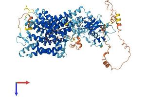 AlphaFold protein structure predicition of Human Recombinant CLCN6 Protein, UniprotID P51797