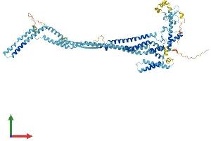 AlphaFold protein structure predicition of Human Recombinant DCST1 Protein, UniprotID Q5T197