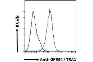 ABIN185655 Flow cytometric analysis of paraformaldehyde fixed A431 cells (blue line), permeabilized with 0.