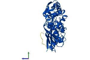 AlphaFold protein structure predicition of Mouse Recombinant Mat2a Protein, UniprotID Q3THS6