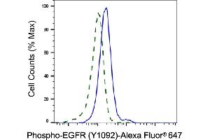 Validation of EGFR knockdown using flow cytometry.