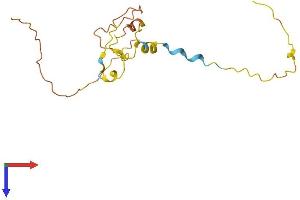 AlphaFold protein structure predicition of Human Recombinant PSORS1C1 Protein, UniprotID Q9UIG5