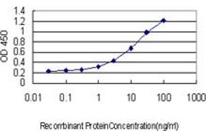 Detection limit for recombinant GST tagged FBXW7 is approximately 0. (FBXW7 anticorps  (AA 599-707))