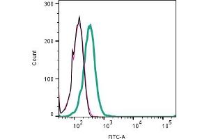 Cell surface detection of ZIP10 by direct flow cytometry in live intact human Jurkat T-cell leukemia cell line: + Rabbit IgG isotype control-FITC (ABIN7582044).