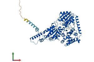 AlphaFold protein structure predicition of Mouse Recombinant Ilvbl Protein, UniprotID Q8BU33