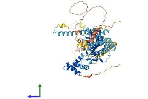 AlphaFold protein structure predicition of Mouse Recombinant Gnl3l Protein, UniprotID Q6PGG6