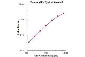 ELISA image for Secreted phosphoprotein 1 (SPP1) ELISA Kit (ABIN3198472)