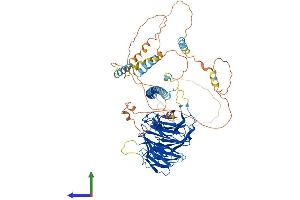 AlphaFold protein structure predicition of Mouse Recombinant Strn Protein, UniprotID O55106