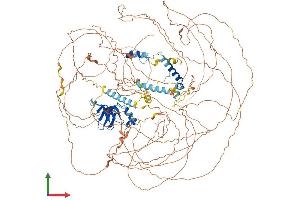 AlphaFold protein structure predicition of Human Recombinant ATXN2 Protein, UniprotID Q99700