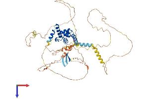 AlphaFold protein structure predicition of Mouse Recombinant Arid3b Protein, UniprotID Q9Z1N7