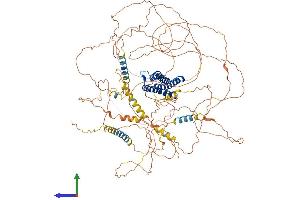 AlphaFold protein structure predicition of Human Recombinant DLGAP1 Protein, UniprotID O14490
