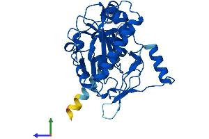 AlphaFold protein structure predicition of Mouse Recombinant Awat1 Protein, UniprotID A2ADU9