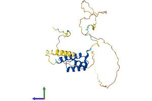 AlphaFold protein structure predicition of Mouse Recombinant Hoxc8 Protein, UniprotID P09025