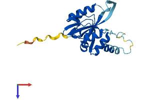 AlphaFold protein structure predicition of Mouse Recombinant Josd2 Protein, UniprotID Q9CR30