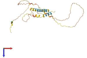 AlphaFold protein structure predicition of Human Recombinant MDFIC Protein, UniprotID Q9P1T7