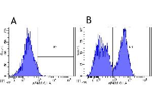 Flow-cytometry using anti-CD40 antibody G28. (Recombinant CD40 anticorps)