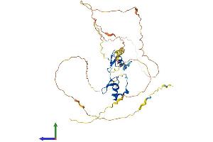 AlphaFold protein structure predicition of Human Recombinant GATA1 Protein, UniprotID P15976