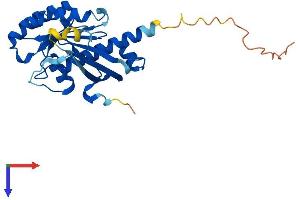 AlphaFold protein structure predicition of Human Recombinant RAB34 Protein, UniprotID Q9BZG1