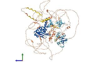 AlphaFold protein structure predicition of Mouse Recombinant Alg13 Protein, UniprotID Q9D8C3