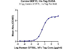 Immobilized Canine GDF15, His Tag at 1 μg/mL (100 μL/Well) on the plate.