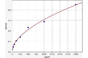 Leptin Receptor (LEPR) ELISA Kit