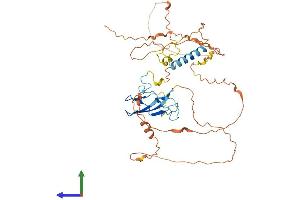AlphaFold protein structure predicition of Human Recombinant ZAR1 Protein, UniprotID Q86SH2