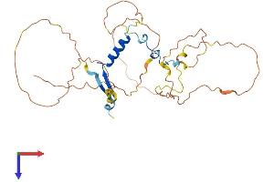 AlphaFold protein structure predicition of Human Recombinant VGLL2 Protein, UniprotID Q8N8G2