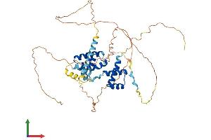 AlphaFold protein structure predicition of Human Recombinant POU3F2 Protein, UniprotID P20265