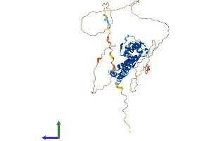 AlphaFold protein structure predicition of Human Recombinant TFAP2A Protein, UniprotID P05549