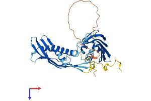 AlphaFold protein structure predicition of Human Recombinant AHSA1 Protein, UniprotID O95433
