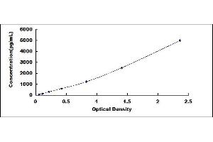 Typical standard curve